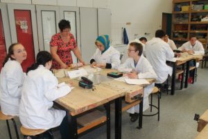 Inklusion Chemie 01